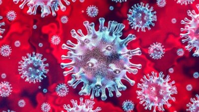 Хятадад “мутацад орсон коронавирус” илэрсэн гэдэг ХУДАЛ!
